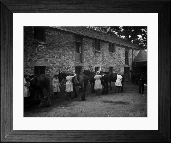 Framed Print : TRURI-1972-2-327