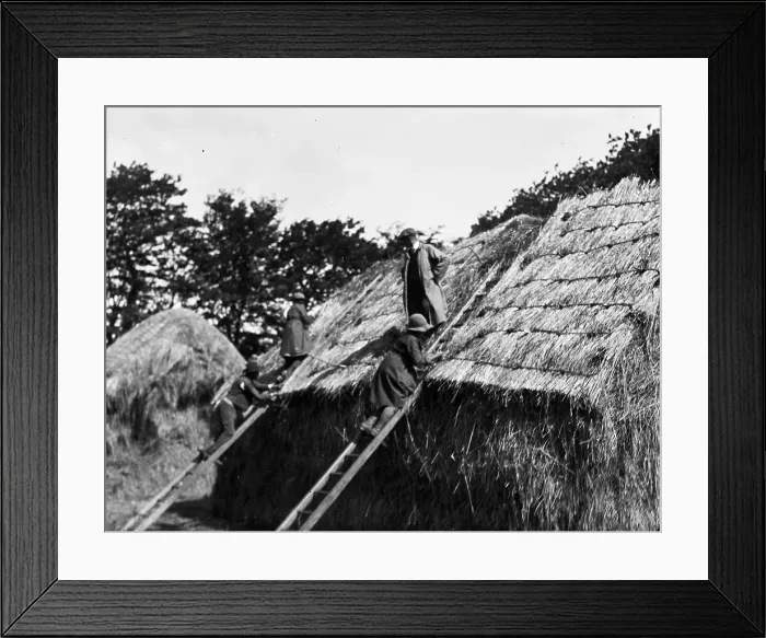 Framed Print : TRURI-1972-2-331