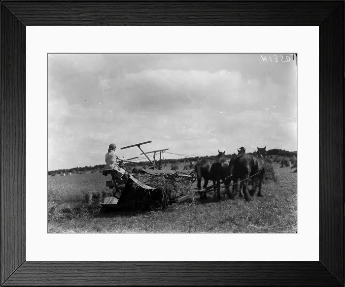 Framed Print : TRURI-1972-2-334