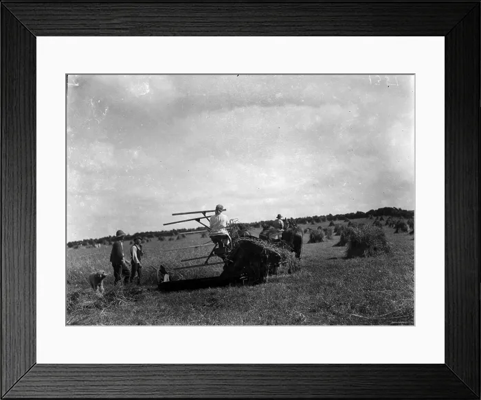 Framed Print : TRURI-1972-2-335