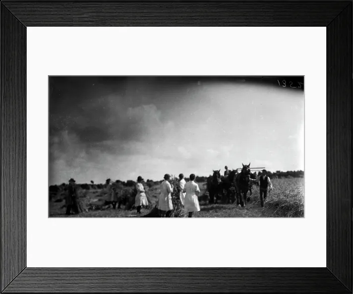Framed Print : TRURI-1972-2-336