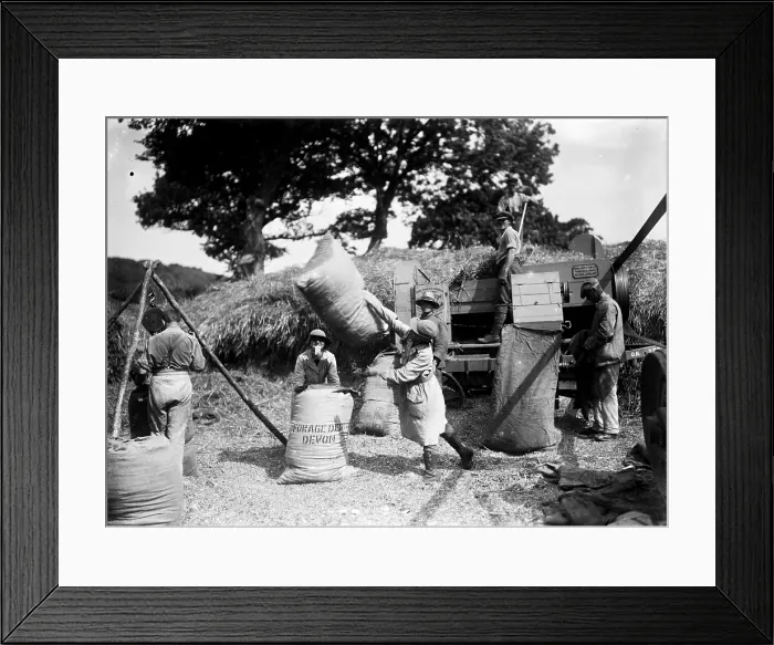 Framed Print : TRURI-1972-2-221