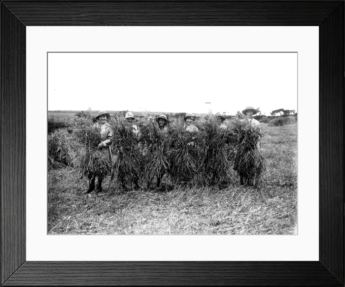 Framed Print : TRURI-1972-2-228