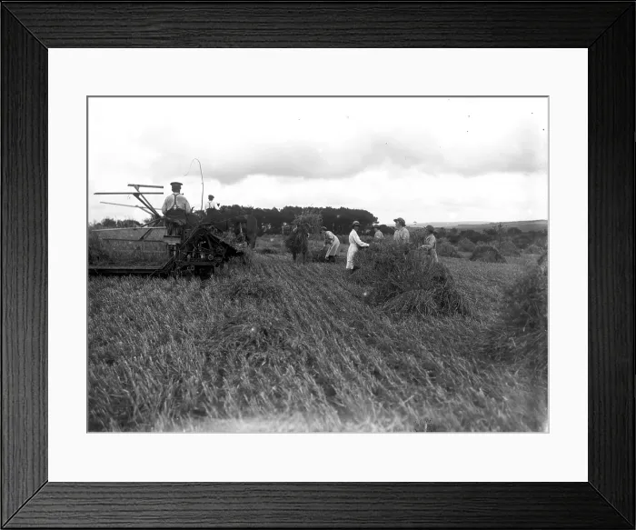 Framed Print : TRURI-1972-2-229