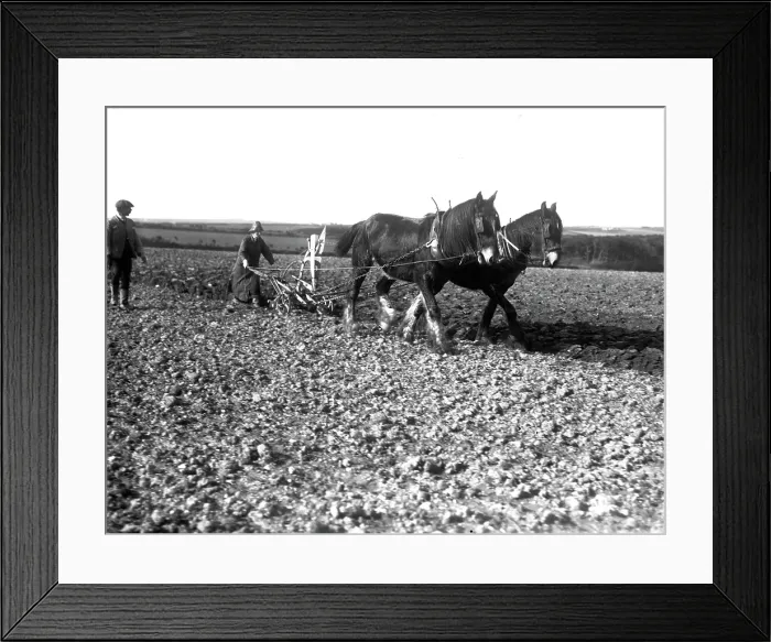 Framed Print : TRURI-1972-2-395