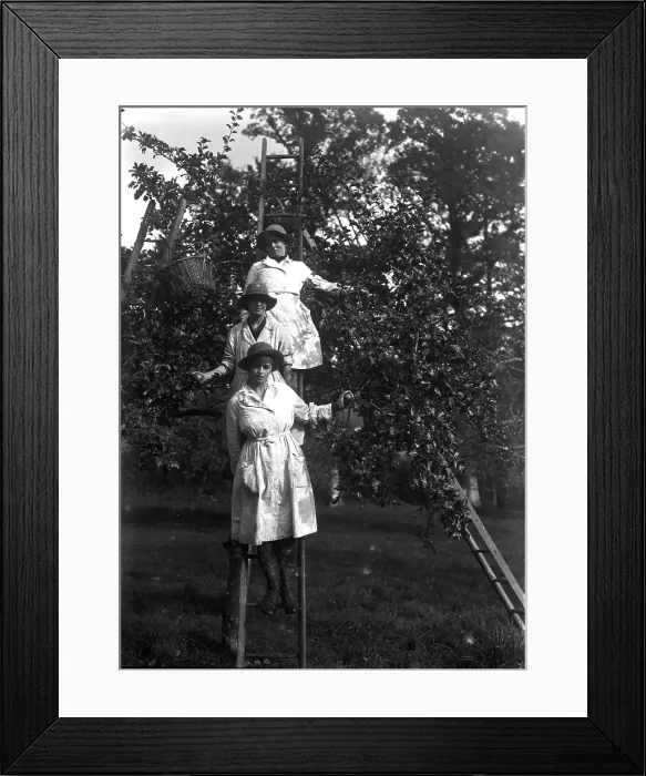 Framed Print : TRURI-1972-2-243
