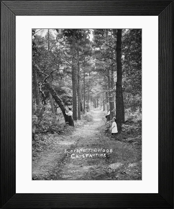 Framed Print : TRURI-CONhg-20