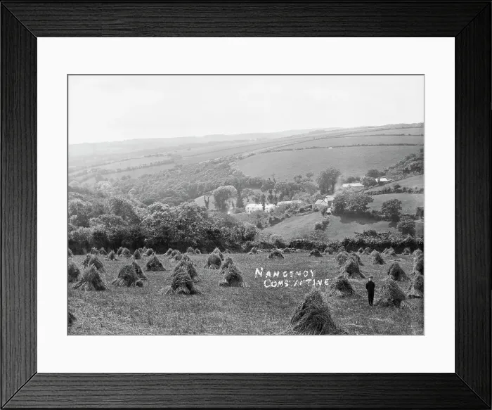 Framed Print : TRURI-CONhg-22