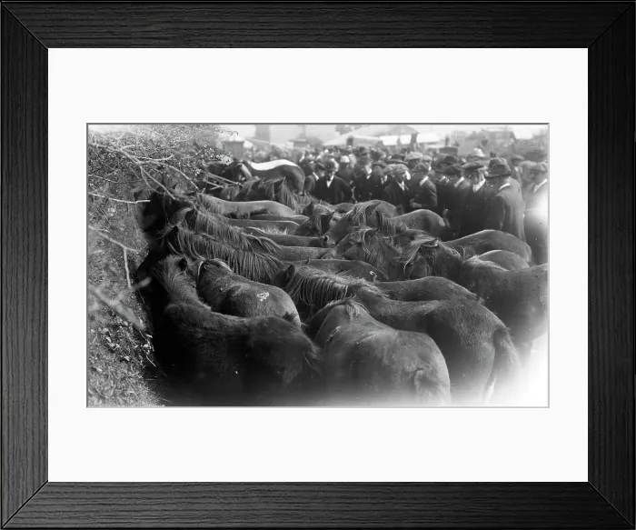 Framed Print : TRURI-ENOsf-7