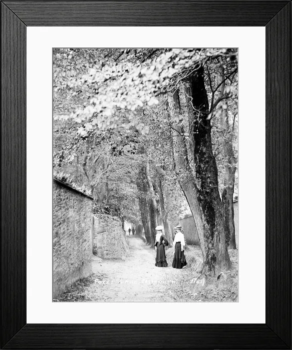 Framed Print : TRURI-FALrf-2
