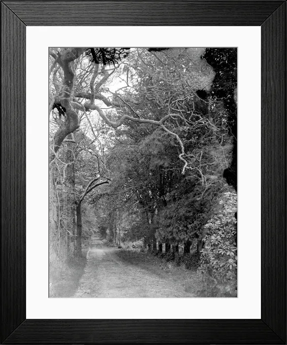 Framed Print : TRURI-FALrf-3