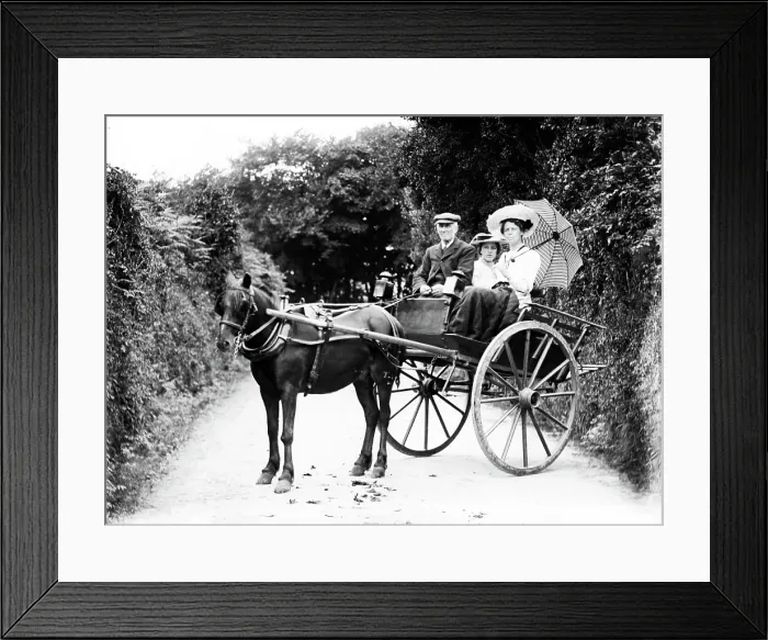 Framed Print : TRURI-CONhg-41