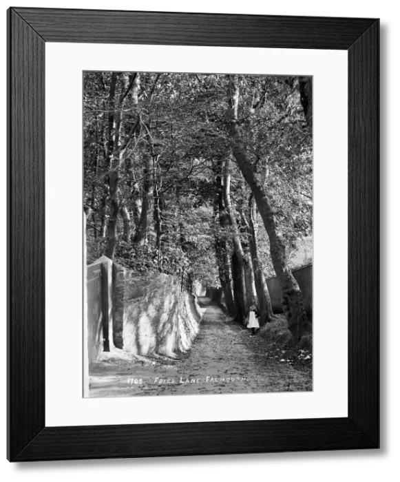 Framed Print : TRURI-FALrf-1 Framed Print : TRURI-FALrf-1