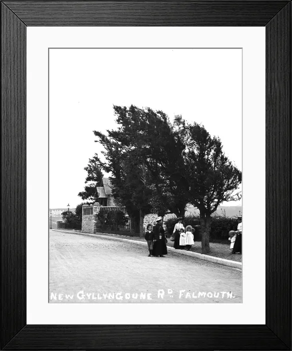 Framed Print : TRURI-FALrg-8 Framed Print : TRURI-FALrg-8
