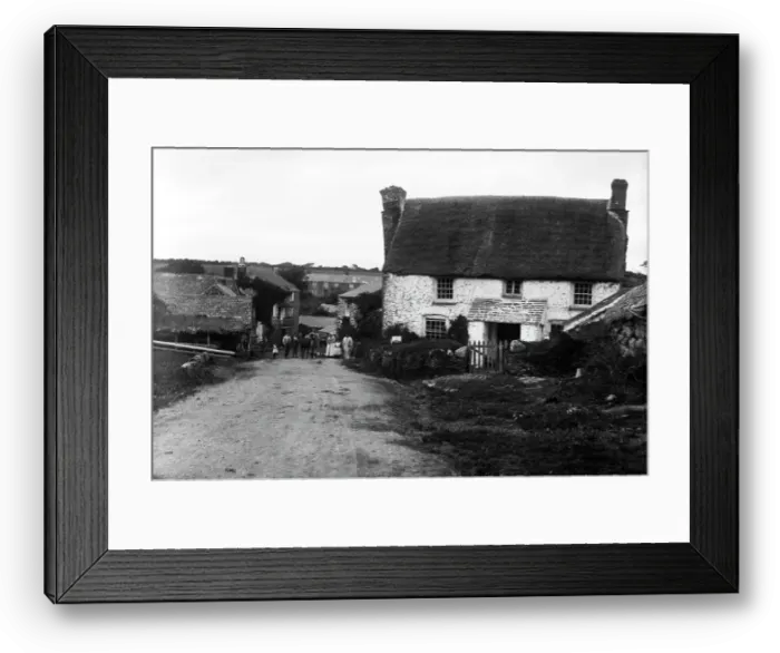 Framed Print : TRURI-ERVrf-2 Framed Print : TRURI-ERVrf-2