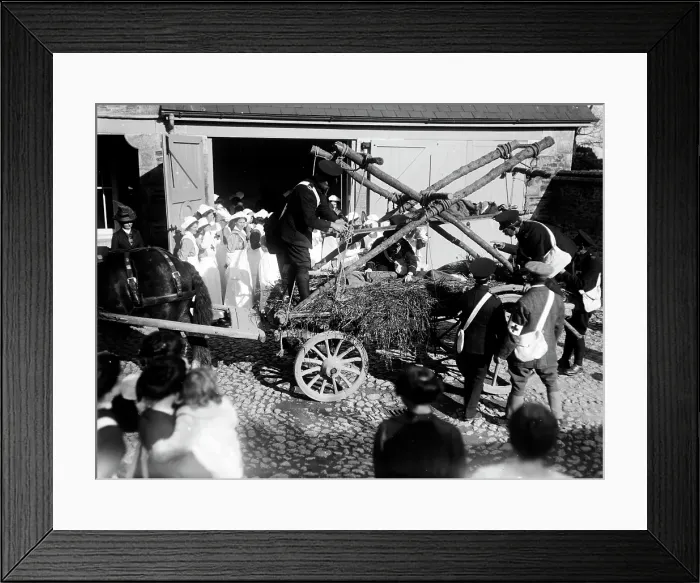 Framed Print : TRURI-FEOtg-16