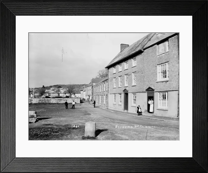 Framed Print : TRURI-FLSgv-2 Framed Print : TRURI-FLSgv-2