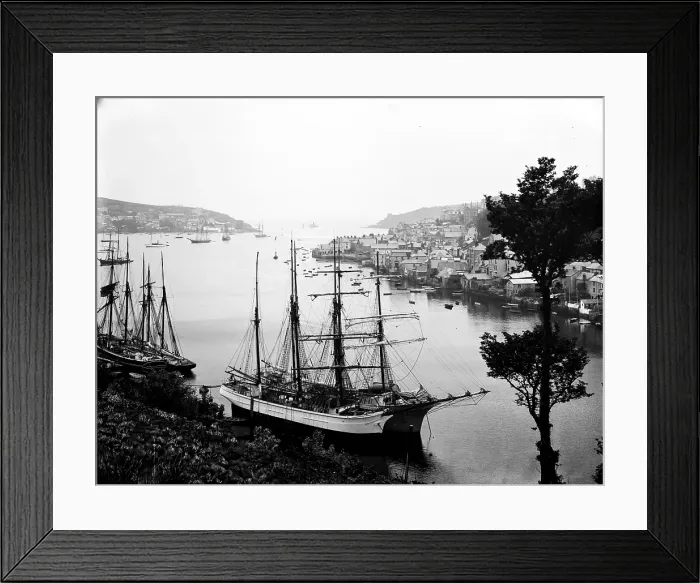 Framed Print : TRURI-FOWhs-1 Framed Print : TRURI-FOWhs-1