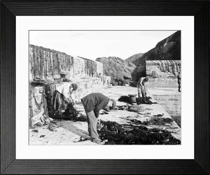 Framed Print : TRURI-GORgv-2