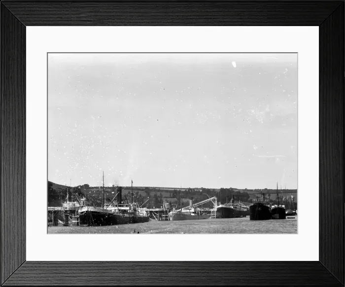 Framed Print : TRURI-FOWhs-11