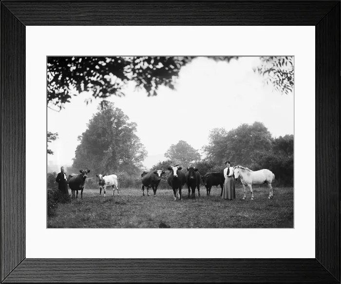 Framed Print : TRURI-GRMgv-13