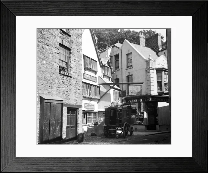 Framed Print : TRURI-FOWih-4
