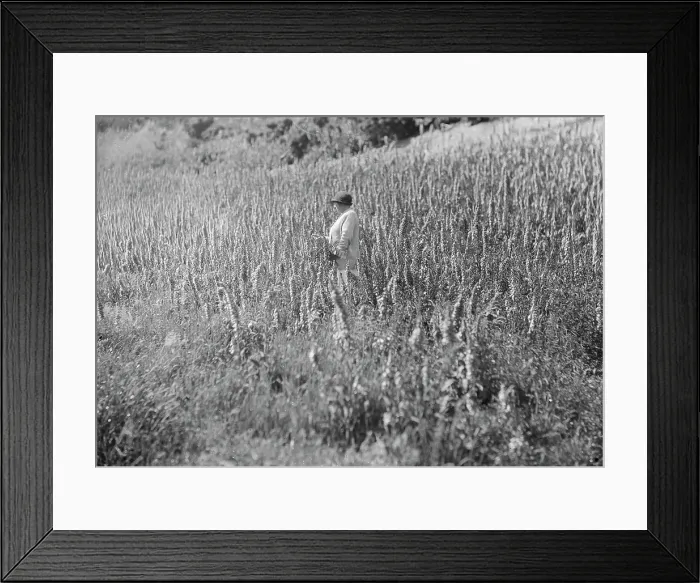 Framed Print : TRURI-GENgv-1