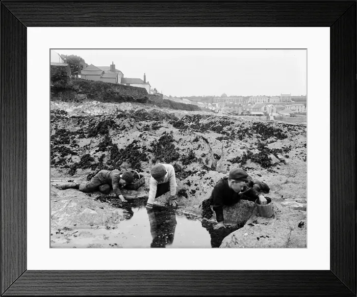 Framed Print : TRURI-GERps-3