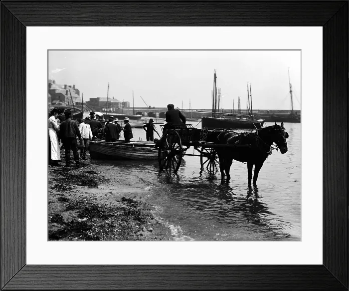 Framed Print : TRURI-IVShs-24