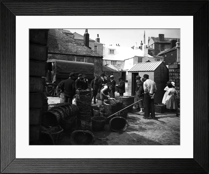 Framed Print : TRURI-IVShs-32 Framed Print : TRURI-IVShs-32