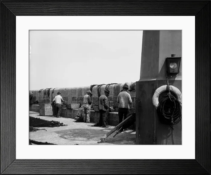 Framed Print : TRURI-IVShs-35 Framed Print : TRURI-IVShs-35