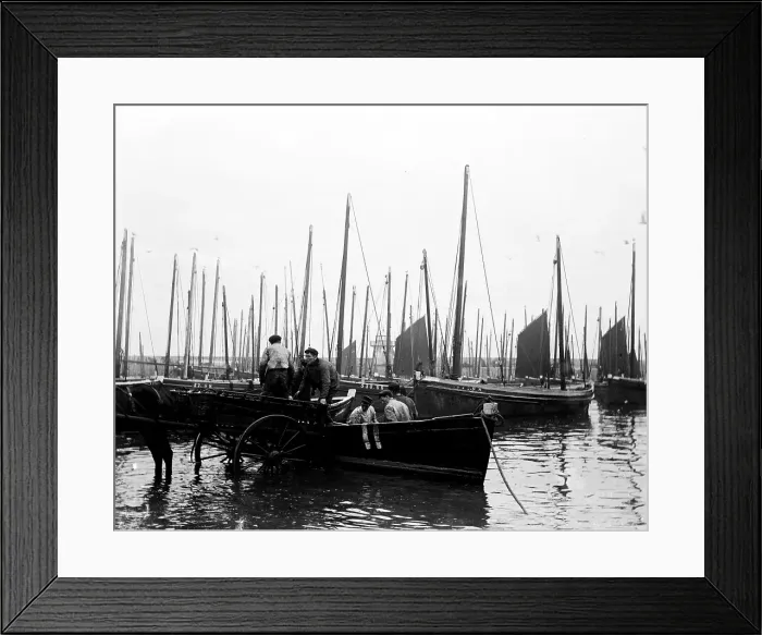 Framed Print : TRURI-IVShs-50