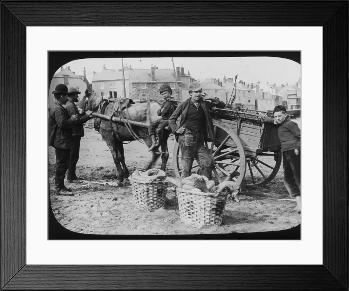 Framed Print : TRURI-IVShs-56 Framed Print : TRURI-IVShs-56