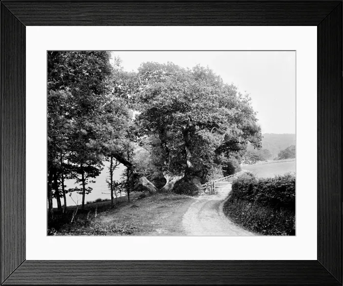 Framed Print : TRURI-HELpl-1 Framed Print : TRURI-HELpl-1