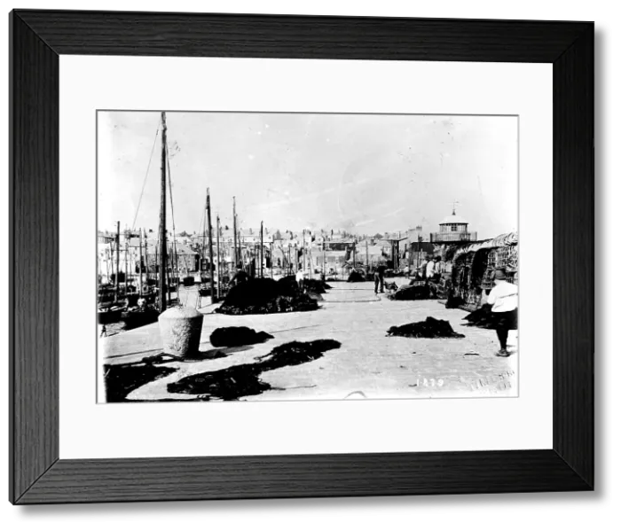 Framed Print : TRURI-IVShs-48