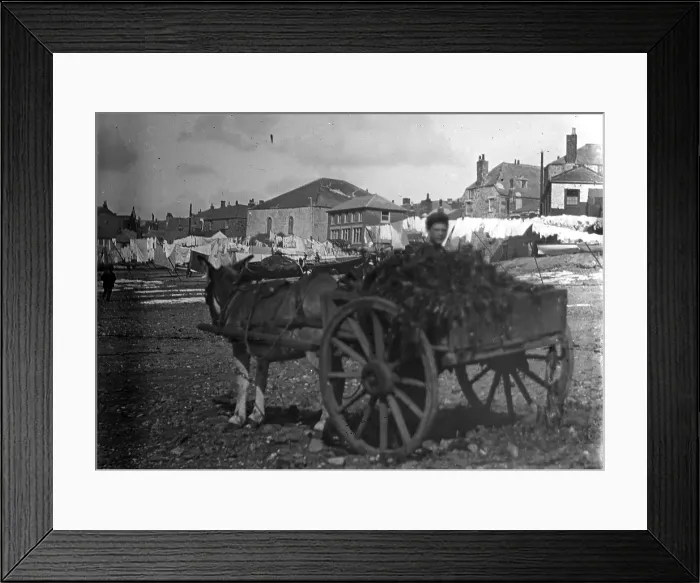 Framed Print : TRURI-IVShs-58A Framed Print : TRURI-IVShs-58A