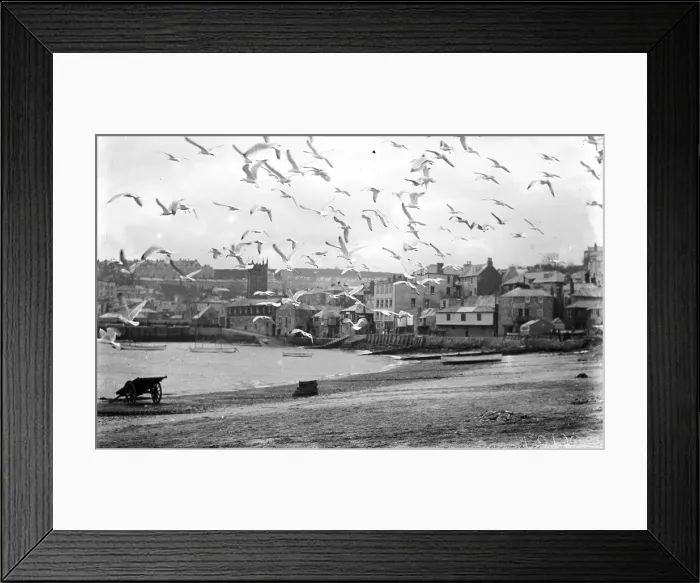 Framed Print : TRURI-IVShs-60 Framed Print : TRURI-IVShs-60