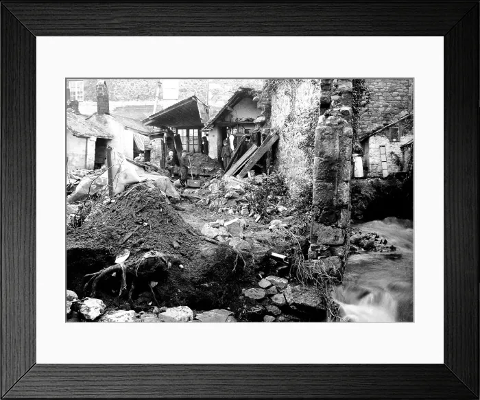 Framed Print : TRURI-IVSfl-1 Framed Print : TRURI-IVSfl-1