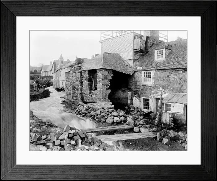 Framed Print : TRURI-IVSfl-2 Framed Print : TRURI-IVSfl-2