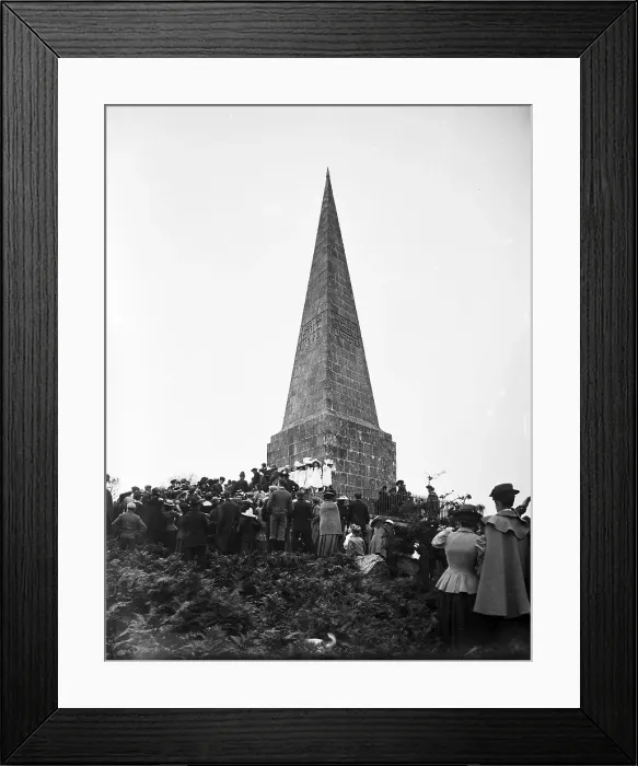 Framed Print : TRURI-IVSkn-2 Framed Print : TRURI-IVSkn-2