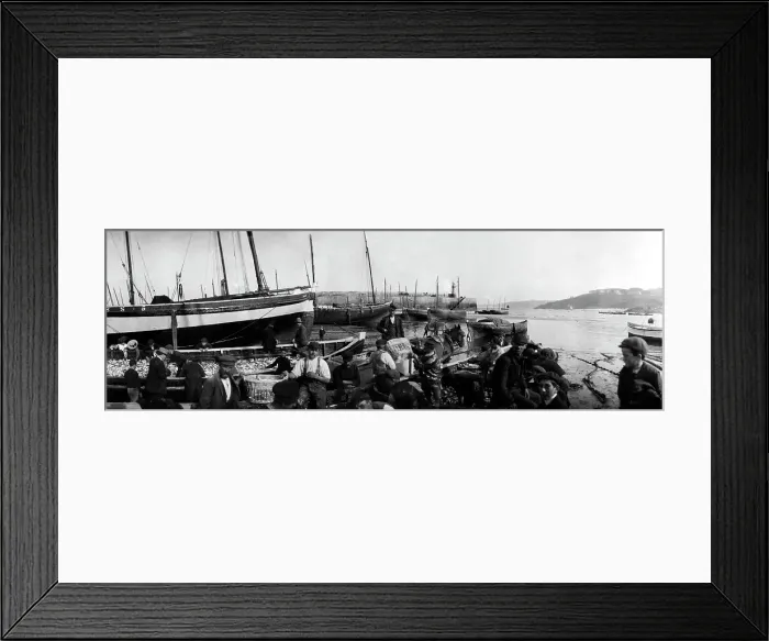 Framed Print : TRURI-IVSps-10 Framed Print : TRURI-IVSps-10