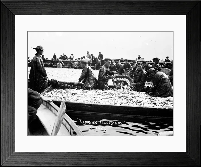 Framed Print : TRURI-IVSps-14