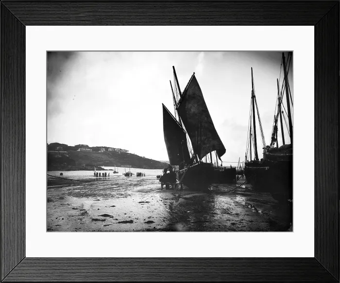 Framed Print : TRURI-IVShs-10 Framed Print : TRURI-IVShs-10