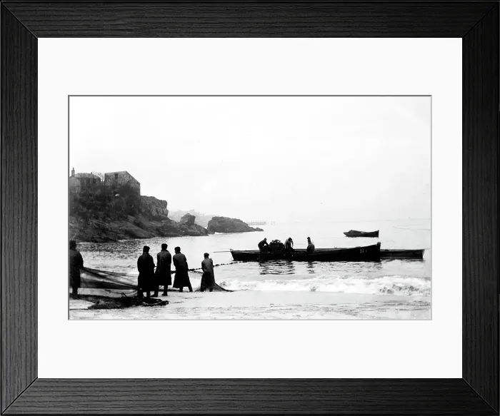 Framed Print : TRURI-IVSps-21 Framed Print : TRURI-IVSps-21