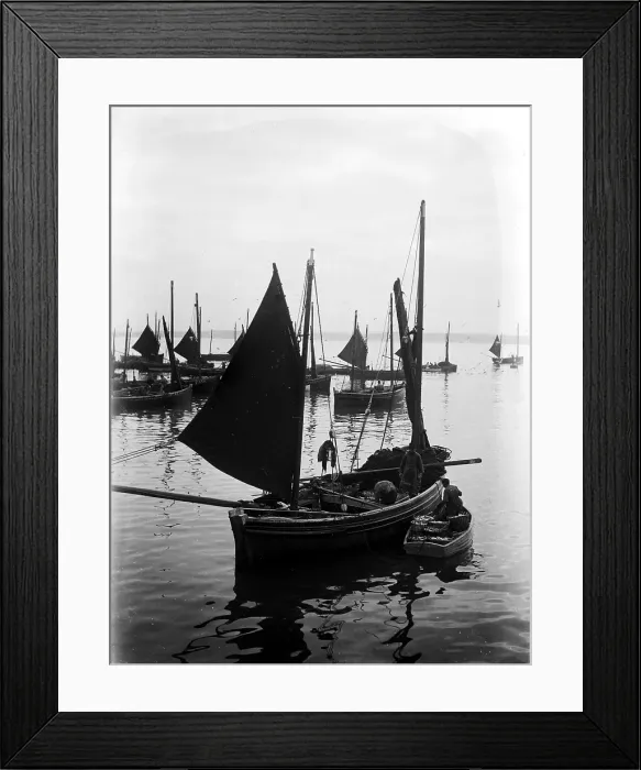 Framed Print : TRURI-IVShs-136