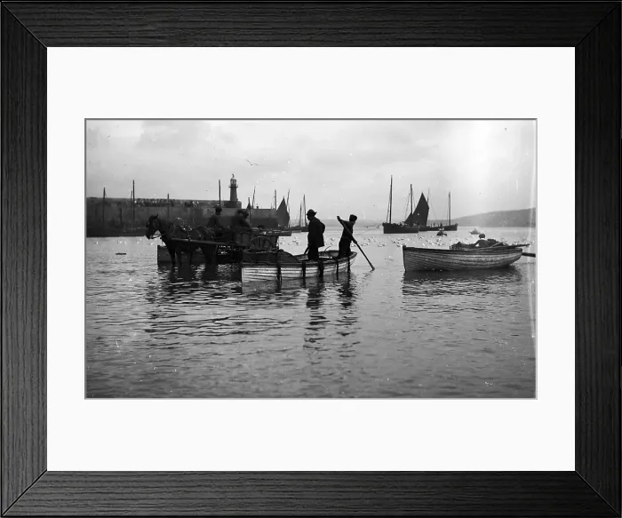 Framed Print : TRURI-IVShs-138 Framed Print : TRURI-IVShs-138