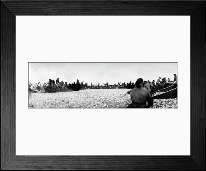 Framed Print : TRURI-IVSps-6