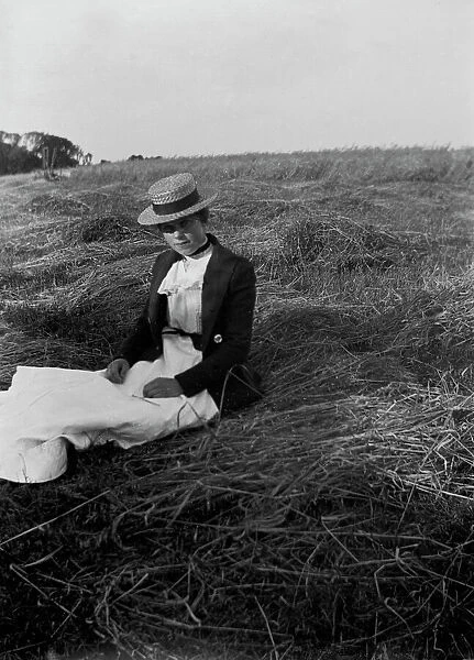 Annie in corn field, Crowgey Farm, Ruan Minor, Cornwall. 1903