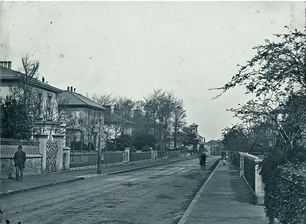 Basset Road, Camborne, Cornwall. 1870s