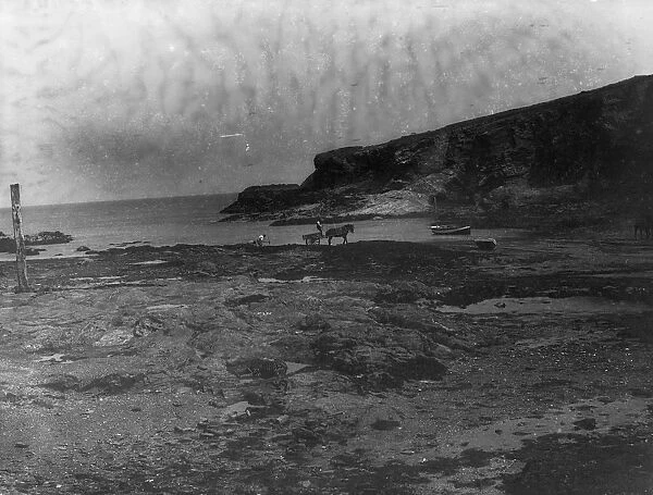 Beach at low tide, Port Gaverne, St Endellion, Cornwall. 1906